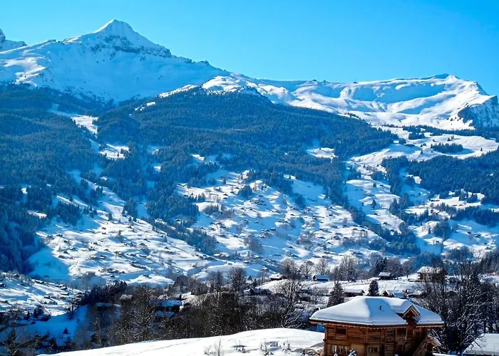 Schwendihus By Interhome Lejlighed