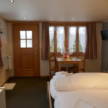 Apartment Schwendihus By Interhome Lägenhet Grindelwald