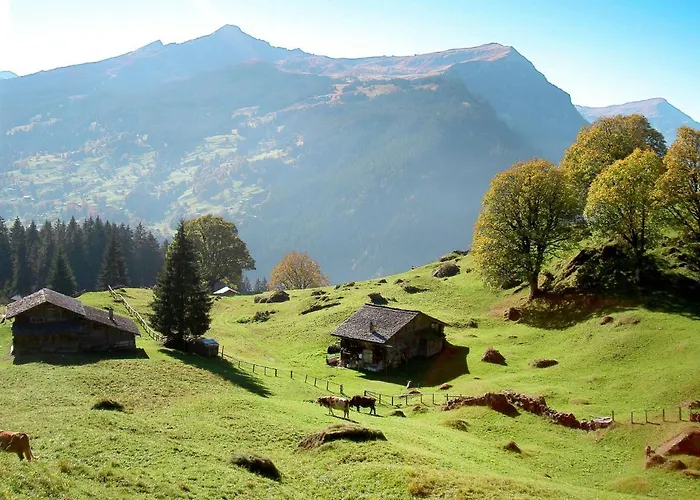 Schwendihus By Interhome Appartamento *