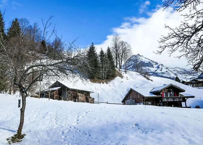 Schwendihus By Interhome Appartamento *